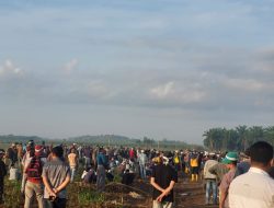 Klaim Lahan Seluas 807 Hektar, Masyarakat di Kecamatan Anak Tuha Tanam di Lahan PT BSA