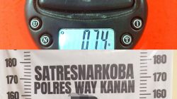 Kepergok Bawa Ekstasi, Pemuda Asal OKU Timur Diamankan Polisi Saat Acara Organ Di Way Kanan