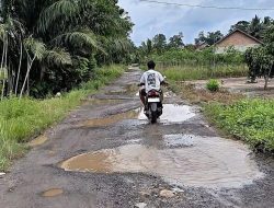 15 Tahun Jalan Poros Kelurahan Di Lampung Tengah Terabaikan