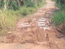Emergency, Masyarakat Pengguna Jalan Poros Tanjung Ratu Resahkan Jembatan Ambles