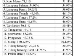 Jalan Rusak, Masa Depan Tersendat: Potret Ketimpangan Infrastruktur Lampung 2025