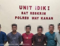 Polres Way Kanan Amankan Diduga Enam Pelaku Pembalakan Liar di Register 42 Blambangan Umpu