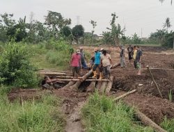 Warga Bangun Jembatan Darurat dari Batang Kelapa, Akses Perbatasan Bandar Lampung–Lamsel 