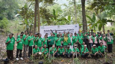 KTH Rangai Sejahtera dan PLN Nusantara Power UP Tarahan Tanam 1.800 Pohon Peringati Hari Lingkungan Hidup Sedunia 2026
