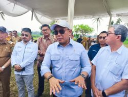 ­Lampung Jadi Daerah Pertama Pengembangan Bioetanol, Serap Ribuan Hektare Lahan Sorgum