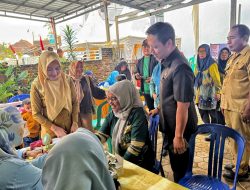 Peringati HUT ke-344 Kota Bandar Lampung, UPT Puskesmas Way Halim II Gelar CKG Serentak di Dua Posyandu