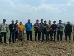 Turun Lapangan, Tim Kuasa Hukum dan Ahli Waris Raja Lima Perkuat Klaim Lahan 400 Hektare