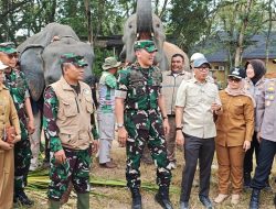 Kunjungi Taman Nasional Way Kambas, Gubernur dan Pangdam Pastikan Gajah Tidak Terdampak Kebakaran